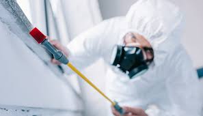 Best Pest Control for Restaurants and Food Service  in Valencia, NM